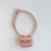 Labubu Mini Micro Flap Crossbody - Pink With Gold Accent -Bobby Sales LabubuMiniMicroFlapCrossbody PinkwithGoldAccent